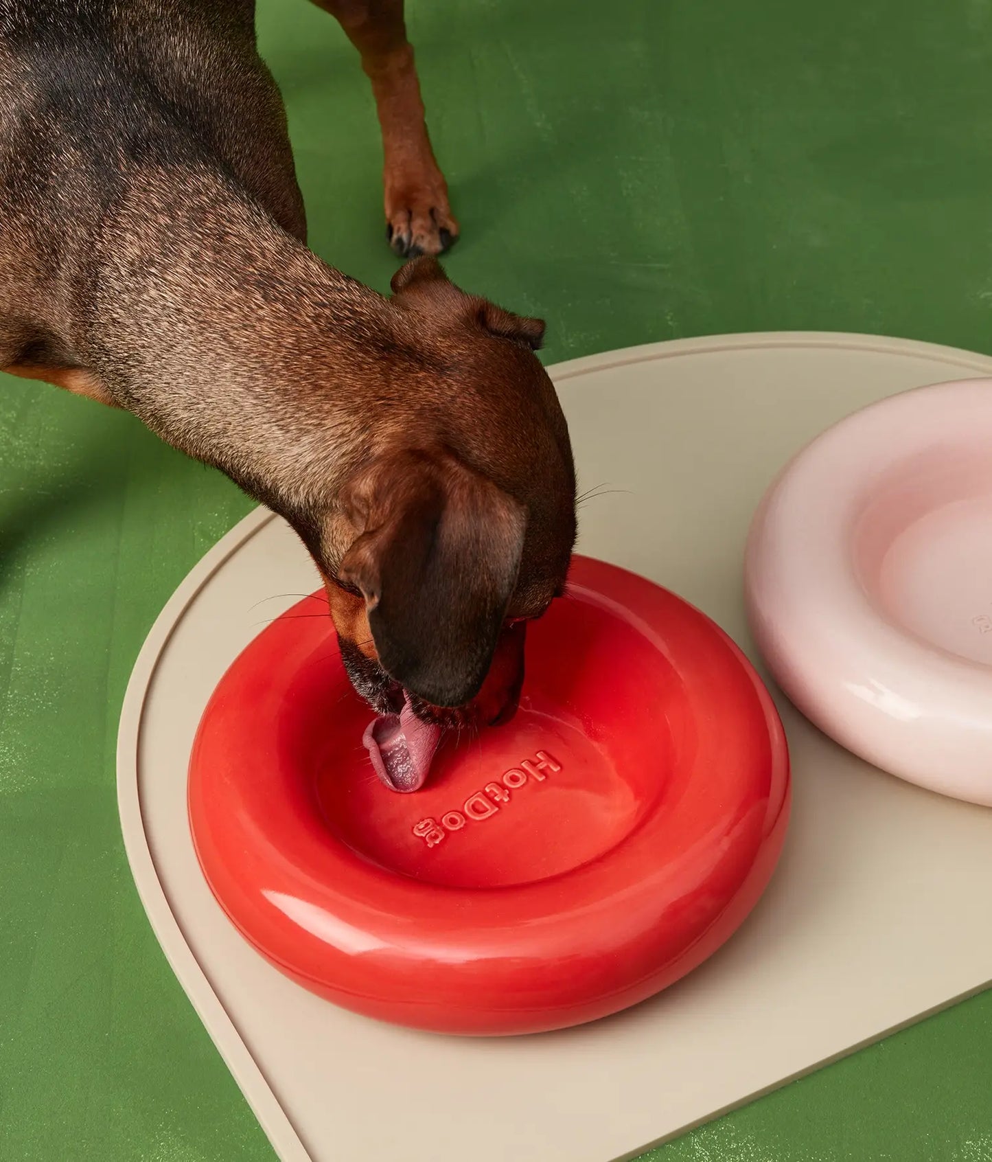 Dog drinking from a red Hodoos pet bowl on a green floor.