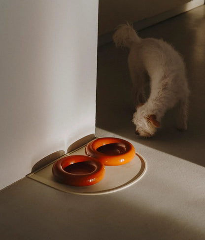 Dog sniffing a plate with two orange donut-shaped objects on a neutral background