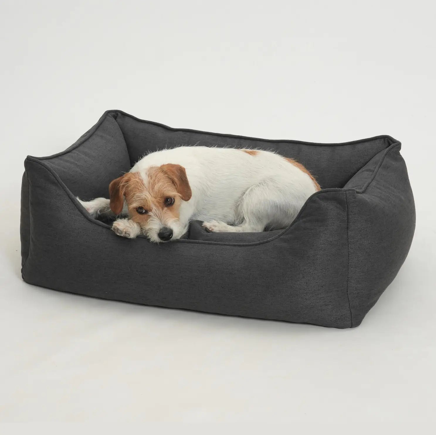 Dog lying on a gray pet bed against a white background