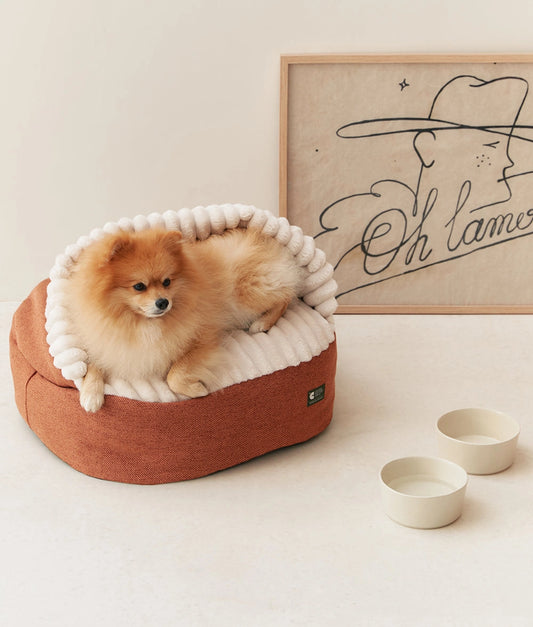 Corduroy Dog Bed with Orange Hood – Maso (Removable & Washable)
