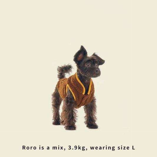 Small dog wearing a brown sweater on a beige background