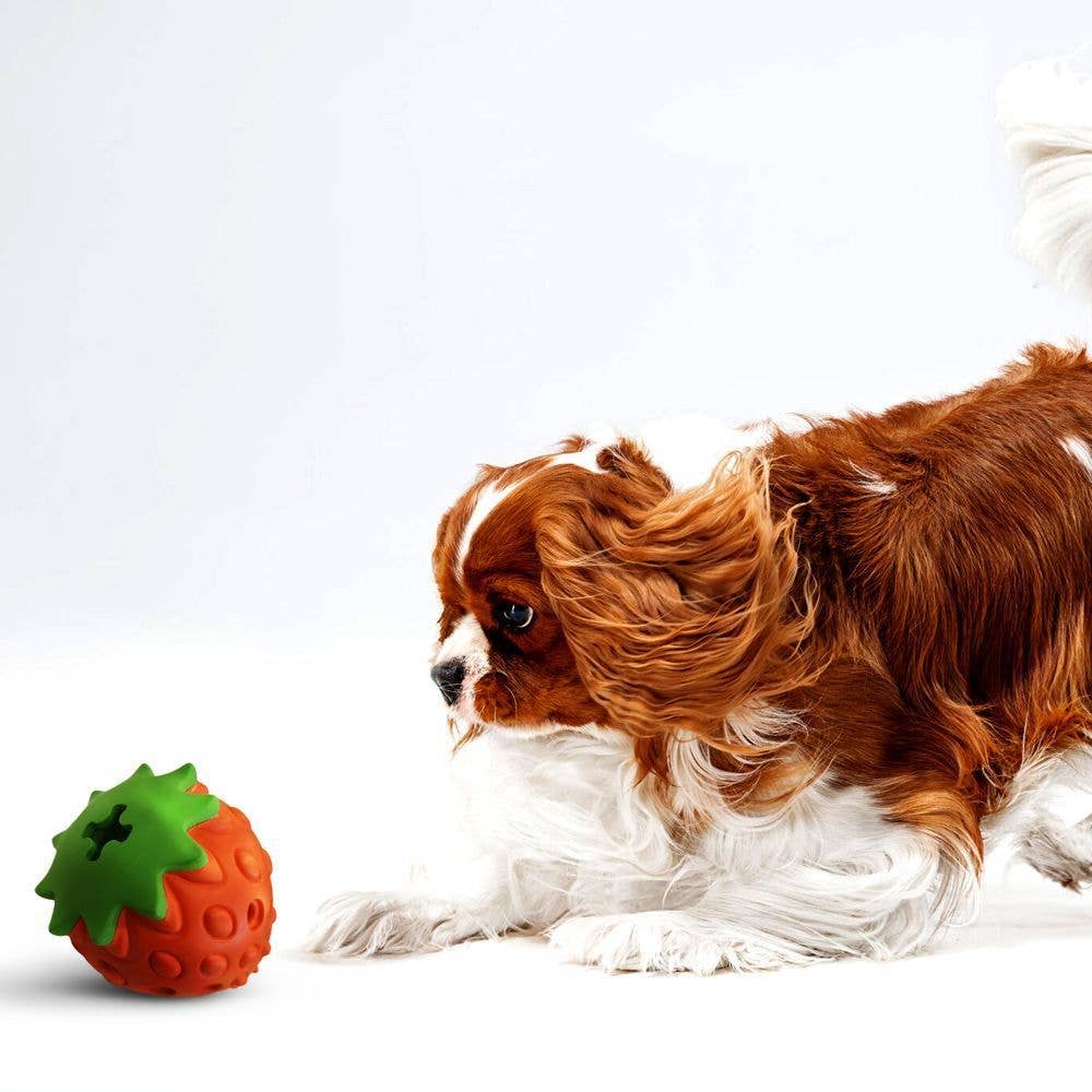 Panton Strawberry Dog Toy