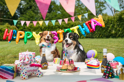 Two dogs at a birthday party with balloons, cake, and drinks on a grassy background.