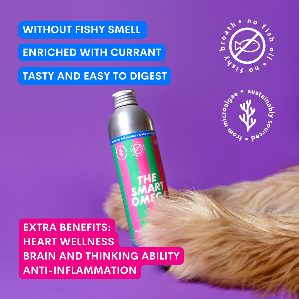 A silver can of 'The Smart Omega' cat supplement is shown resting on a fluffy golden-brown cat's tail against a solid purple background. The can features a green and pink label.
