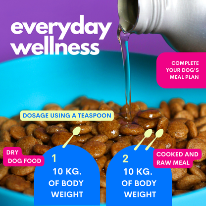 Promotional graphic for pet supplement dosage, showing kibble in a blue bowl with liquid being poured from a silver bottle. Large text reads 'everyday wellness' and includes callouts for dry dog food and cooked and raw meal dosing based on 10 kg of body weight.