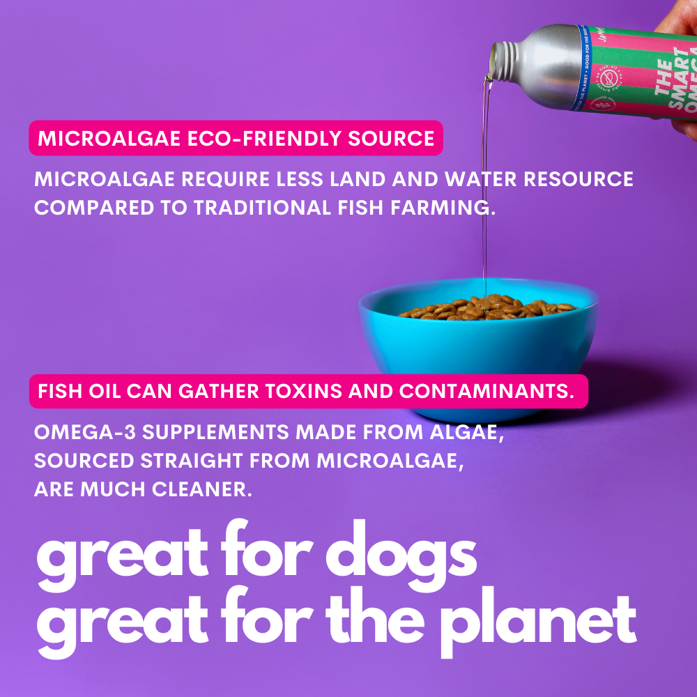 Bowl of dog food with a bottle being poured into it, on a purple background with text about microalgae and omega-3 supplements.