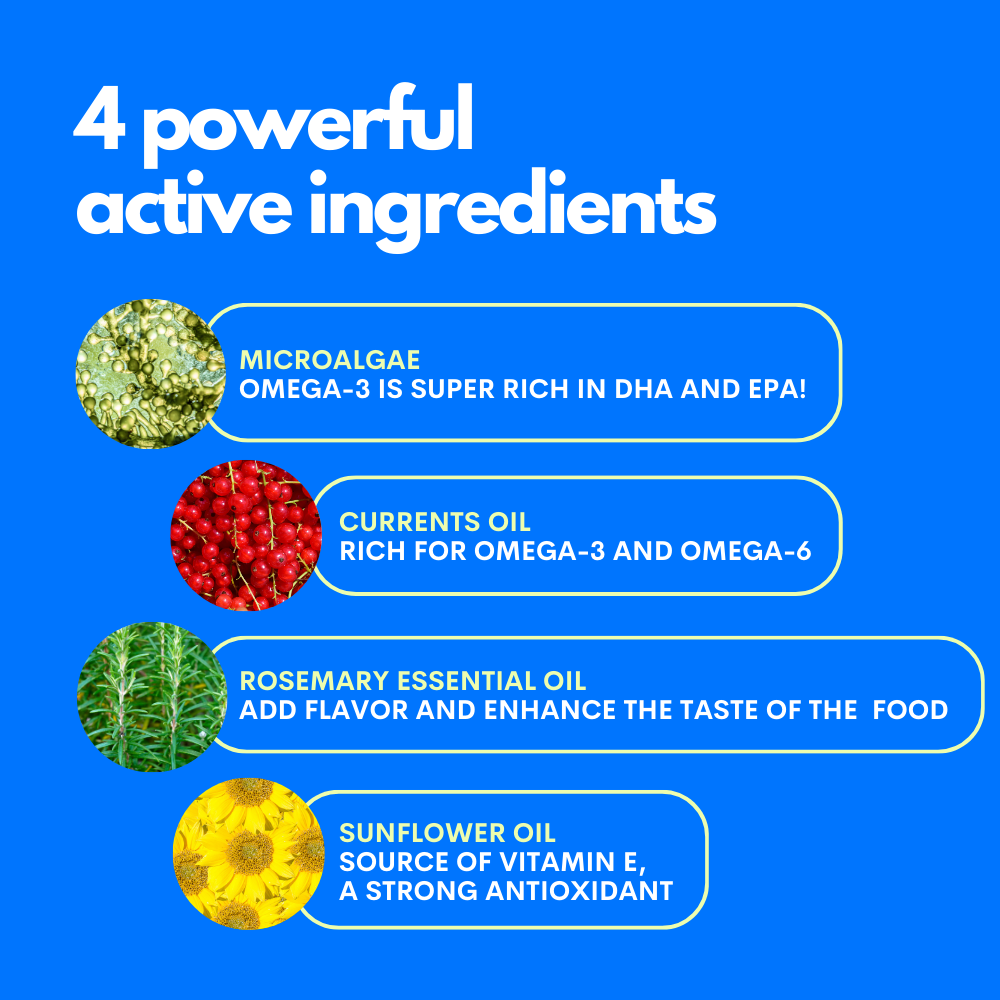 An infographic on a bright blue background titled '4 powerful active ingredients' with four labeled ingredient callouts: microalgae, currents oil, rosemary essential oil, and sunflower oil, each accompanied by a small circular photo of the ingredient.