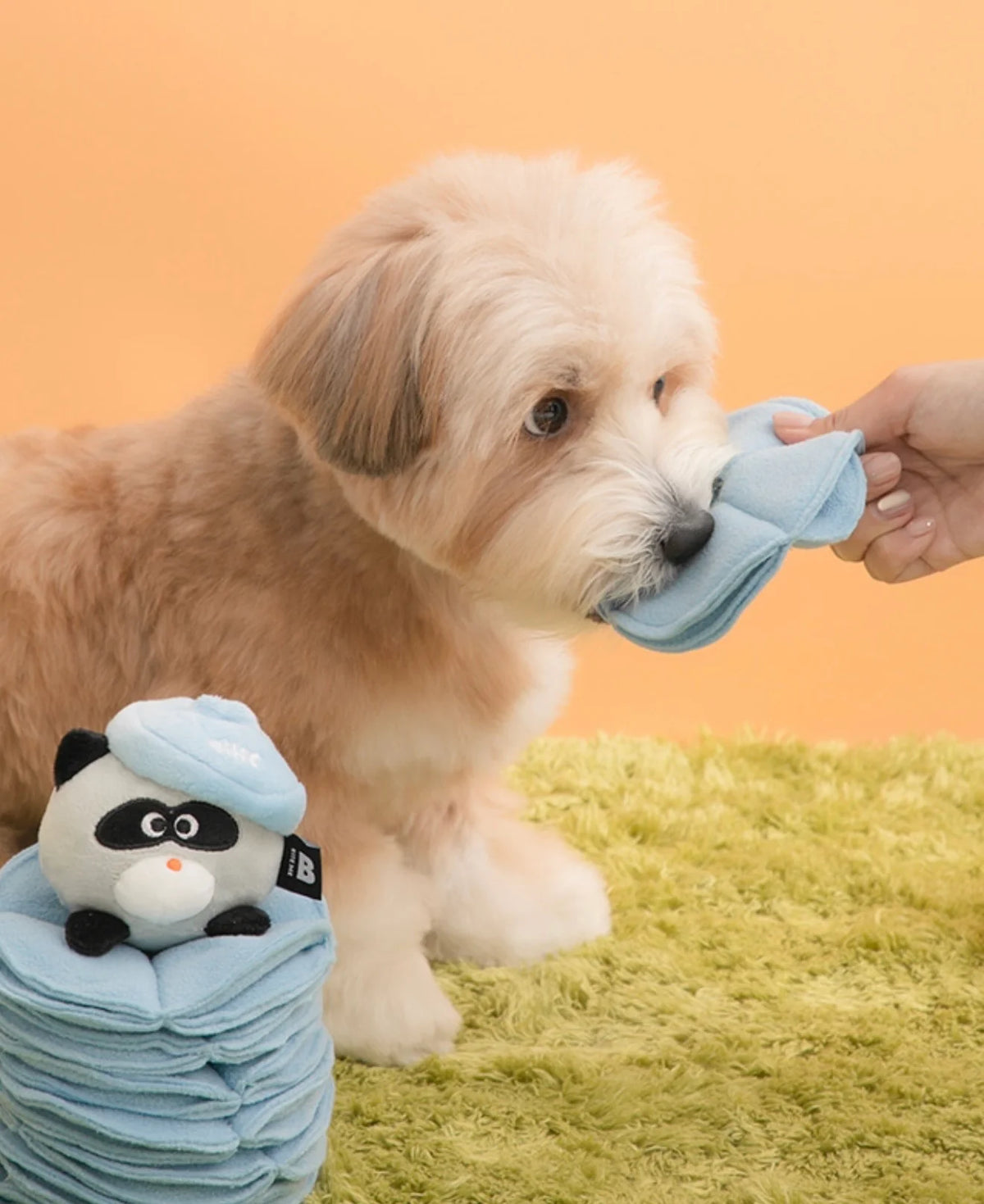 Poki-Pocket Nosework Toy for Dogs | Snuffle & Squeaky Toy