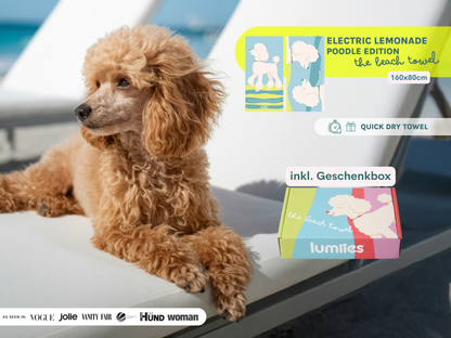 Brown poodle lying on a towel with a beach towel packaging in the background