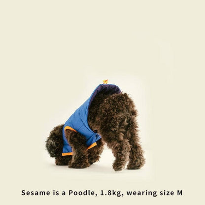 Dog wearing a blue coat on a beige background with 'LIKA' branding.