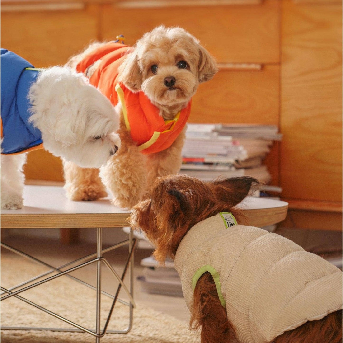 Reversible Padded Dog Jacket – Blue, Nordic Style