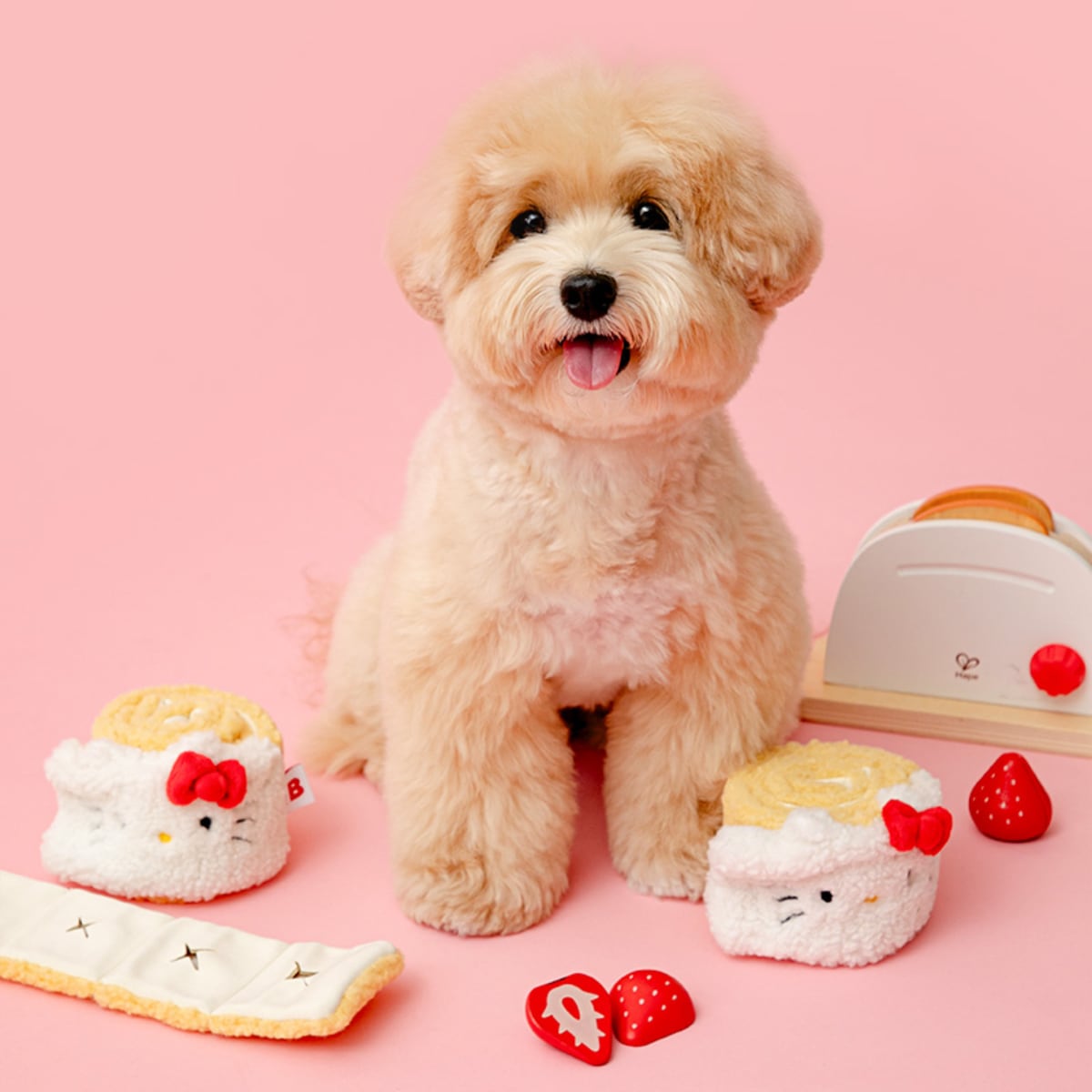 Roll Cake Nose Work Mat for Dogs | 10 Treat Pockets