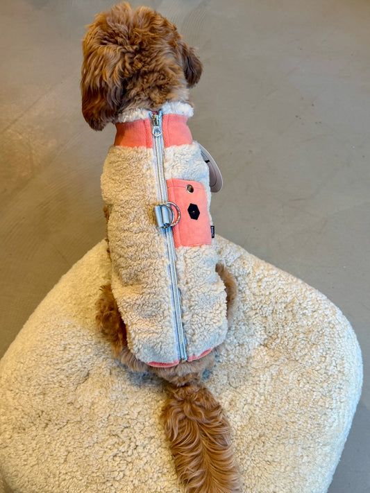 Sherpa Parka Orange for Dogs with Pocket and Leash Rings