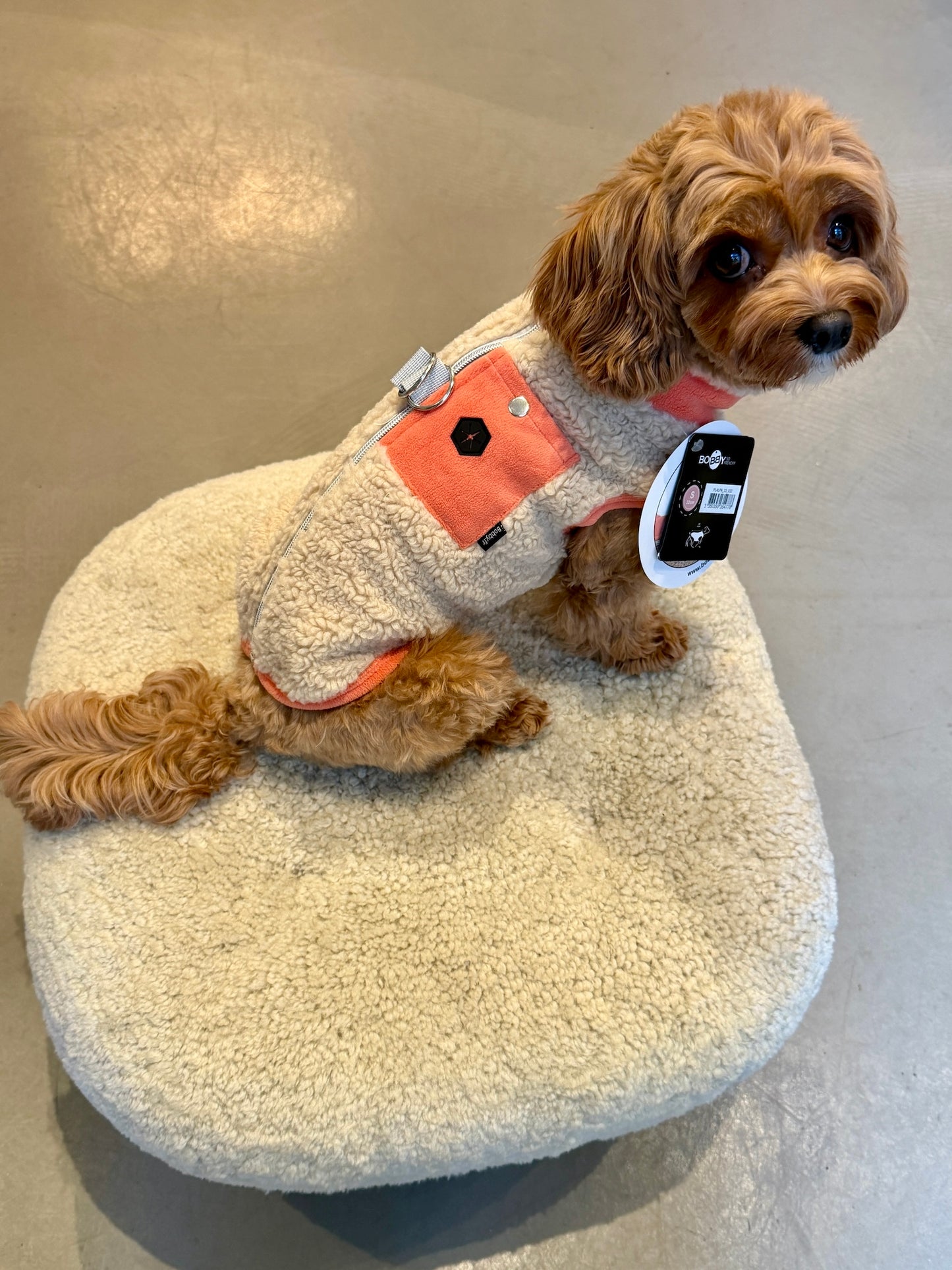 Sherpa Parka Orange for Dogs with Pocket and Leash Rings