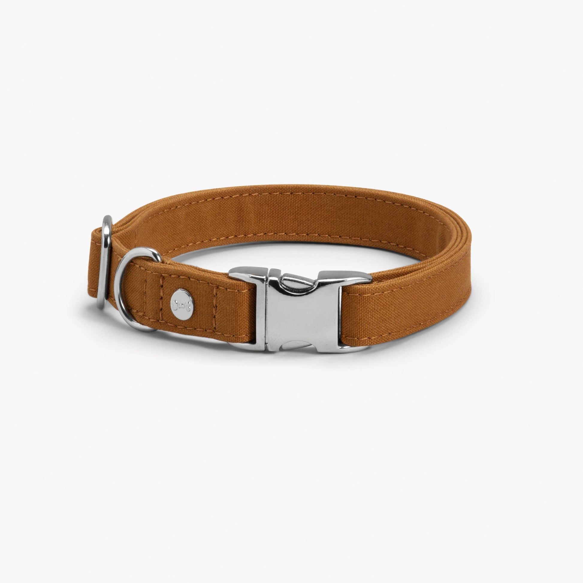Brown dog collar with a silver buckle on a white background
