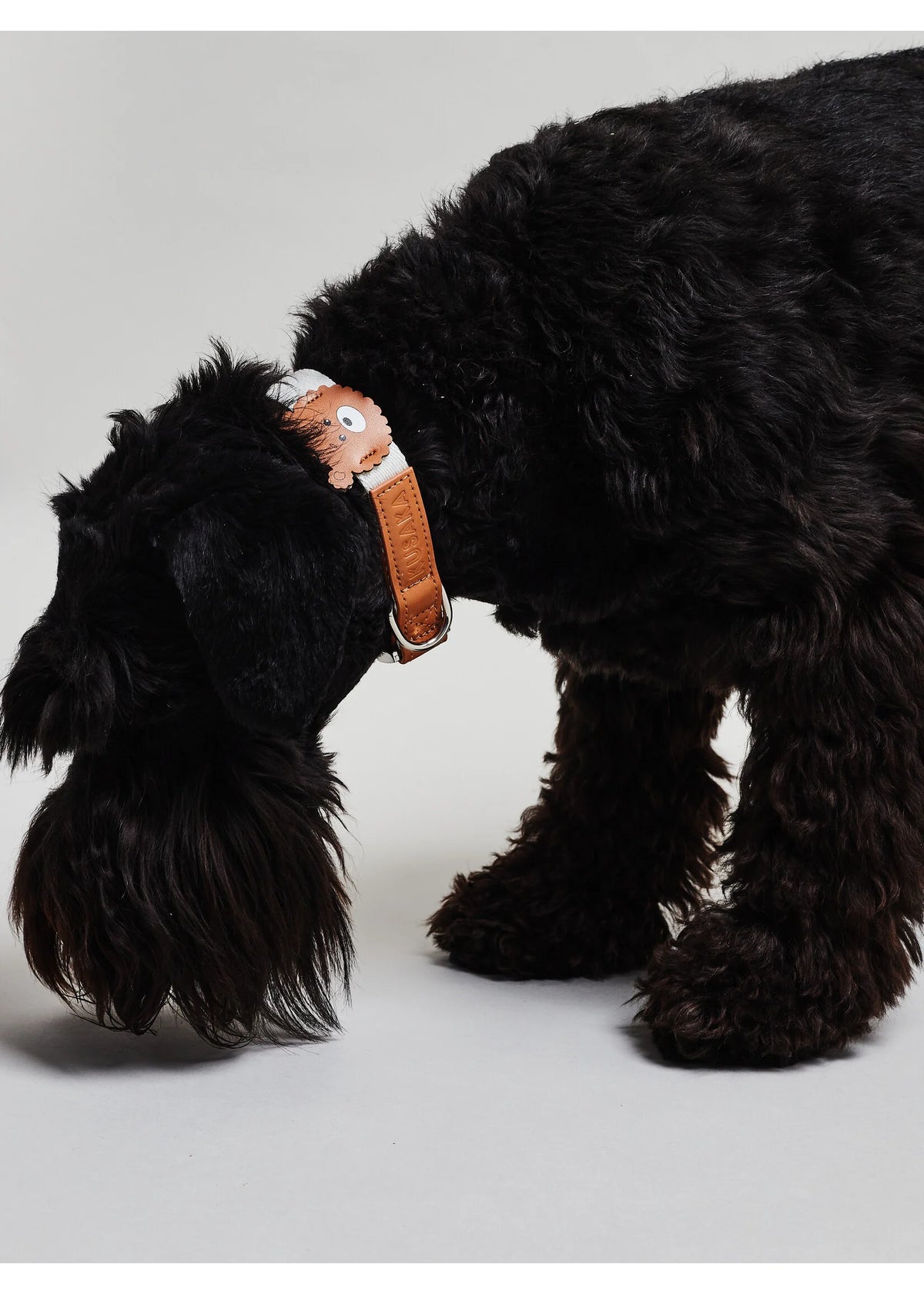 Eco-Leather Small Dog Bear Collar | Pearled Ivory