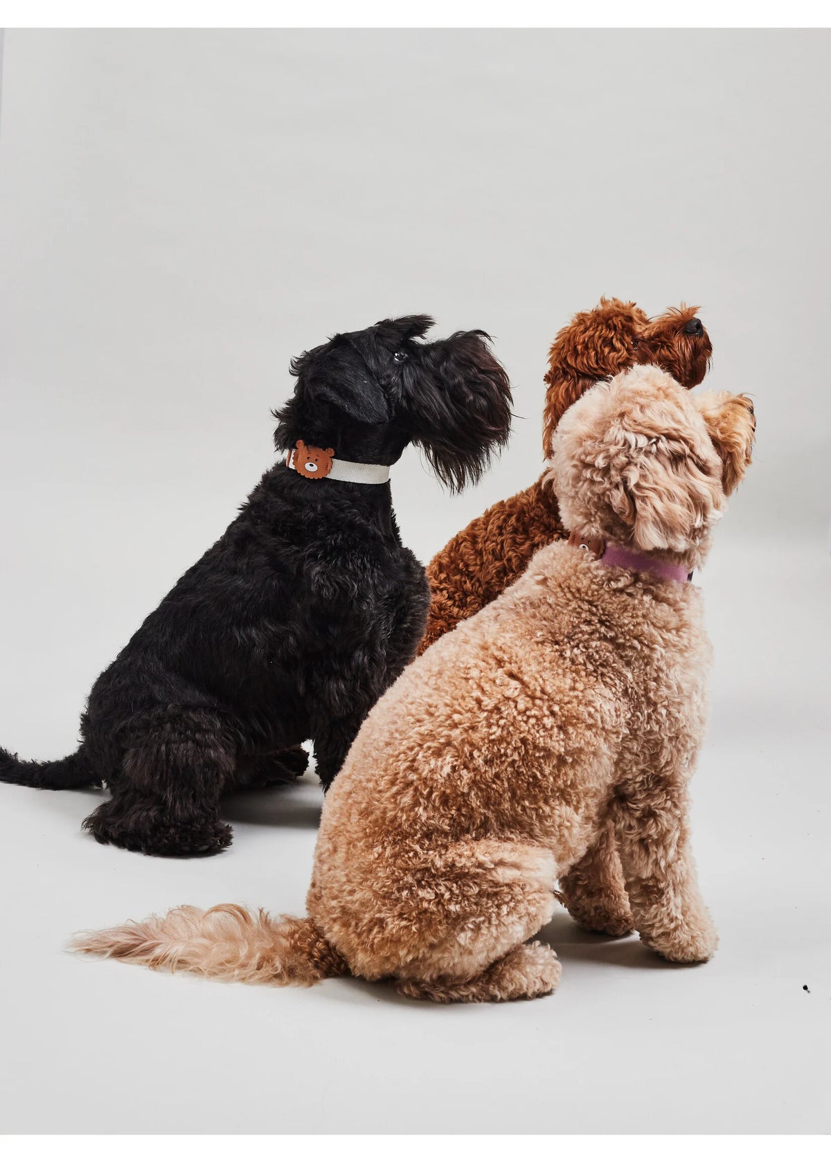 Eco-Leather Small Dog Bear Collar | Pearled Ivory