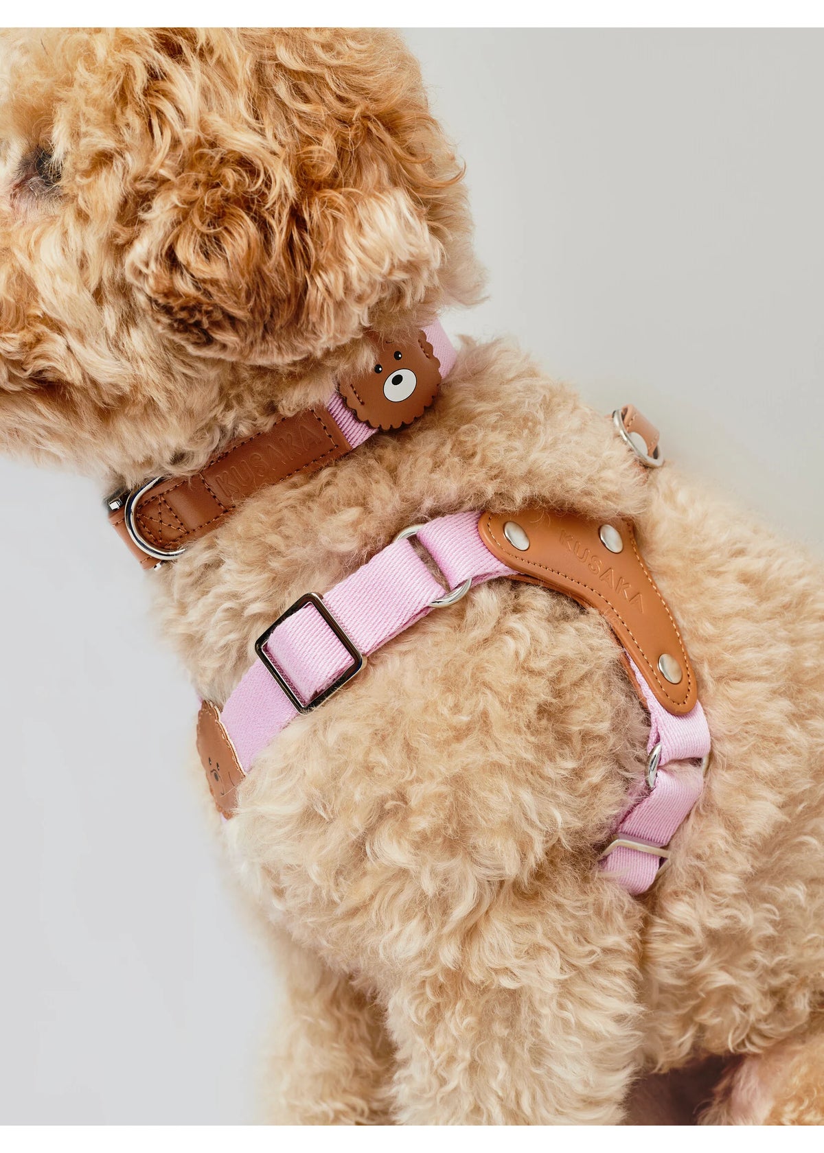 A close-up of a fluffy light brown dog wearing a pink and tan harness with a matching collar, set against a plain light gray background.