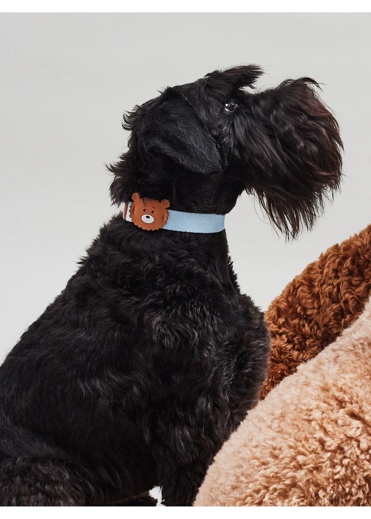 Eco-Leather Small Dog Bear Collar | Sky Blue