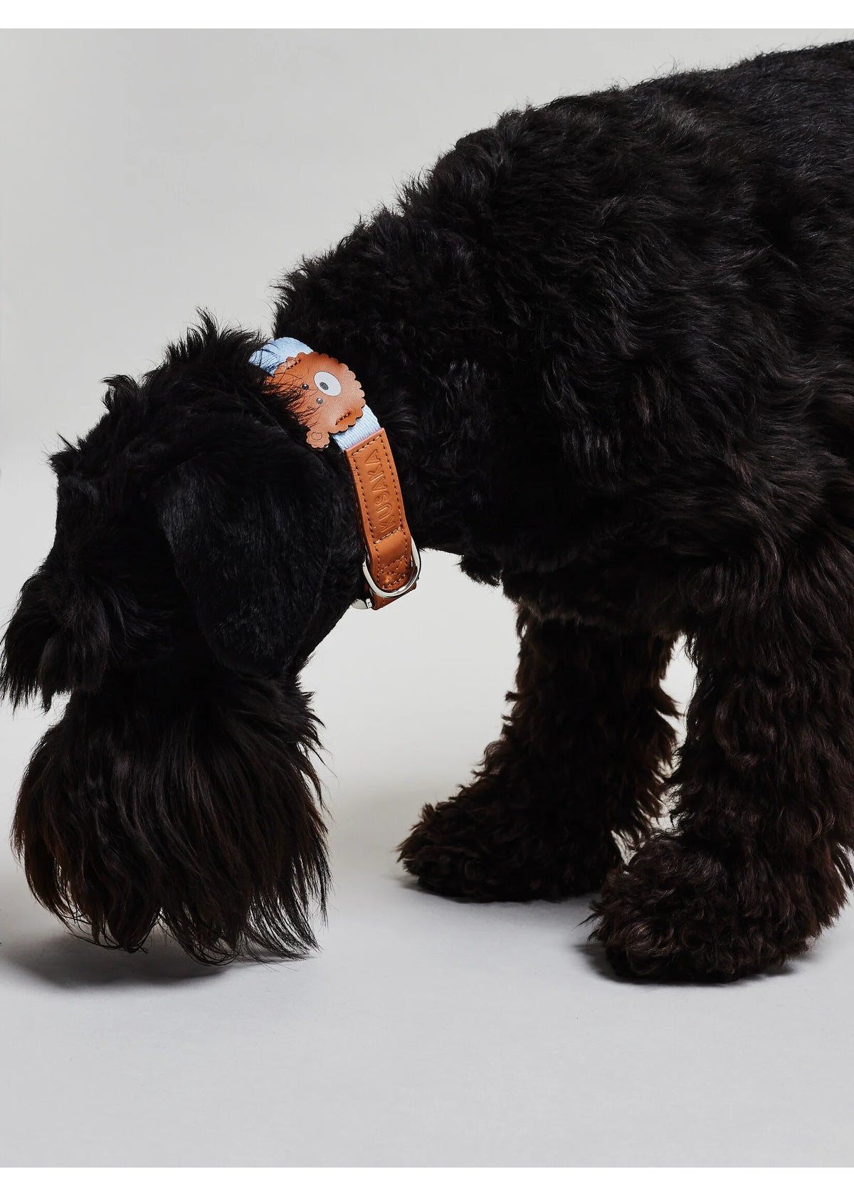 Eco-Leather Small Dog Bear Collar | Sky Blue