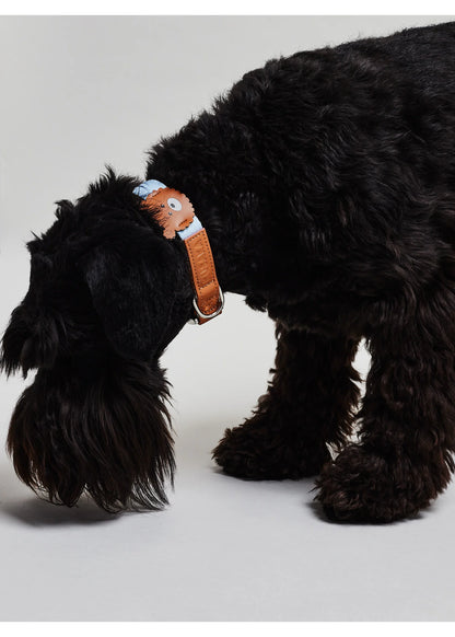 Eco-Leather Small Dog Bear Collar | Sky Blue
