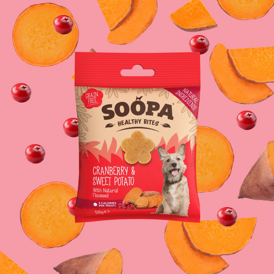 SOOPA Healthy Bites Cranberry & Sweet Potato 50g – Vegan Dog Treats