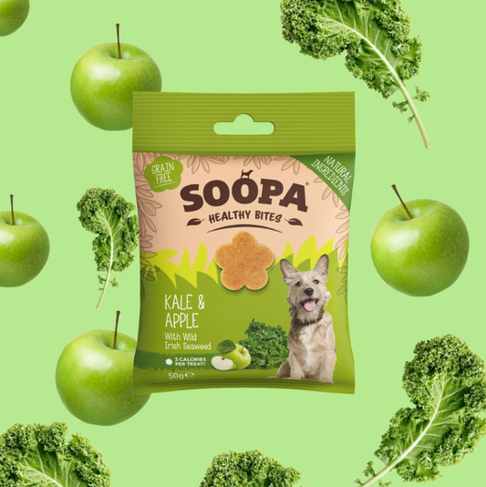SOOPA Healthy Bites Kale & Apple 50g – Vegan Dog Treats