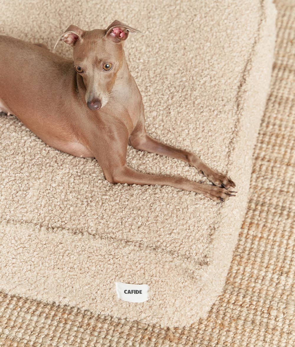 Dog lying on a textured beige carpet with 'CAFIDE' branding.