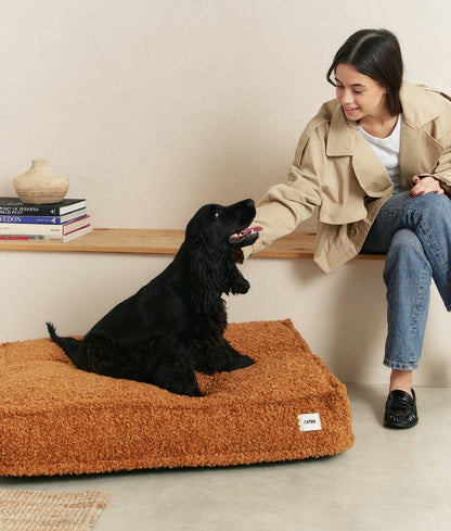 Woman sitting on a wooden bench with a black dog on a brown dog bed in a cozy room.