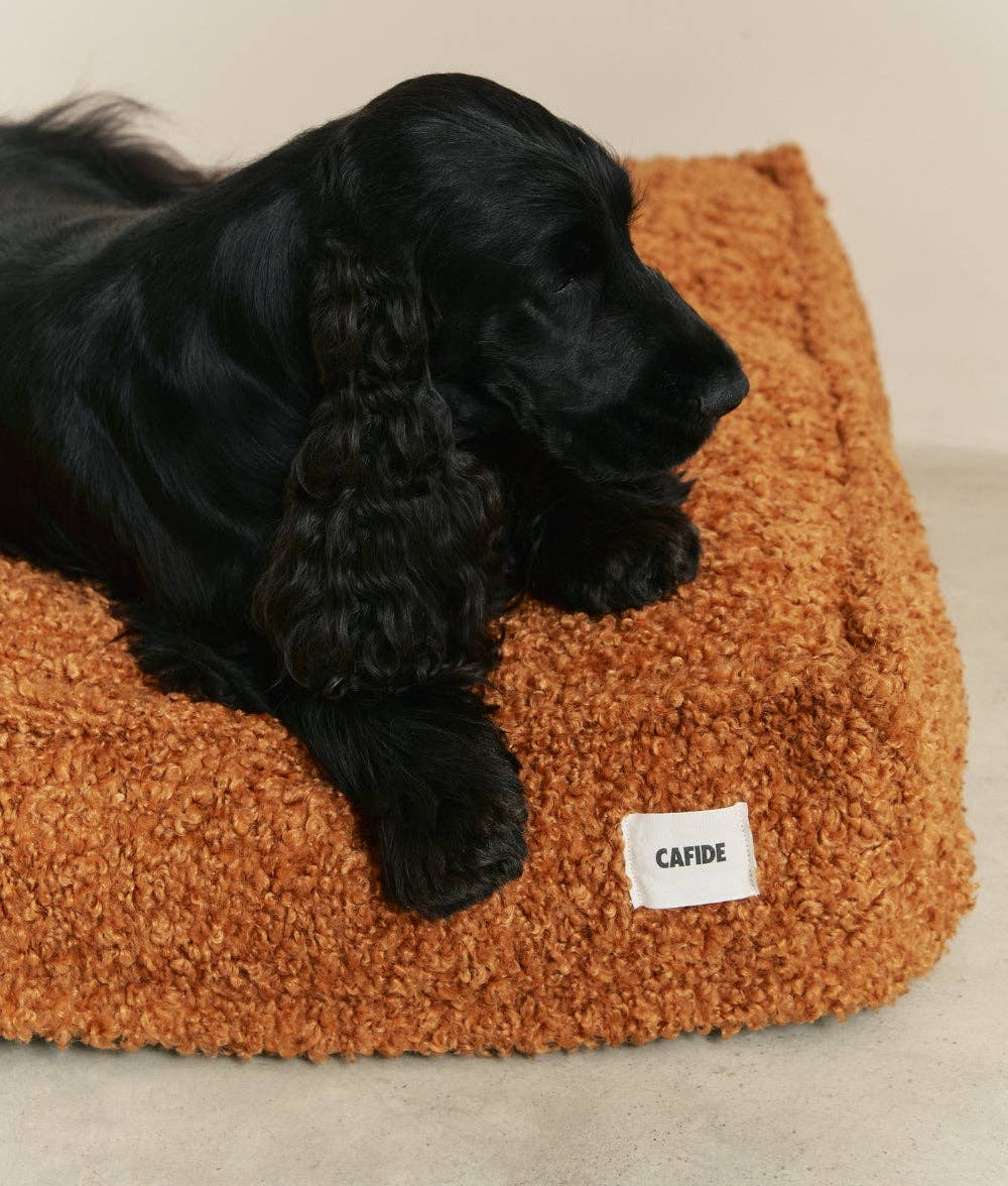Black dog lying on a brown plush dog bed with 'CAFIDE' label.
