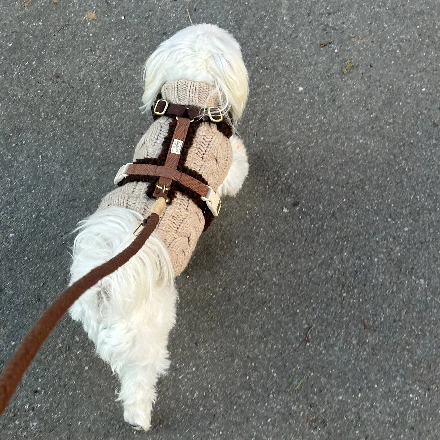 Teddy Dog Harness Brown – Sustainable Style for Every Walk