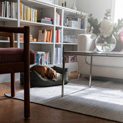 Living room with a dog resting on a cushion, bookshelf, and coffee table.