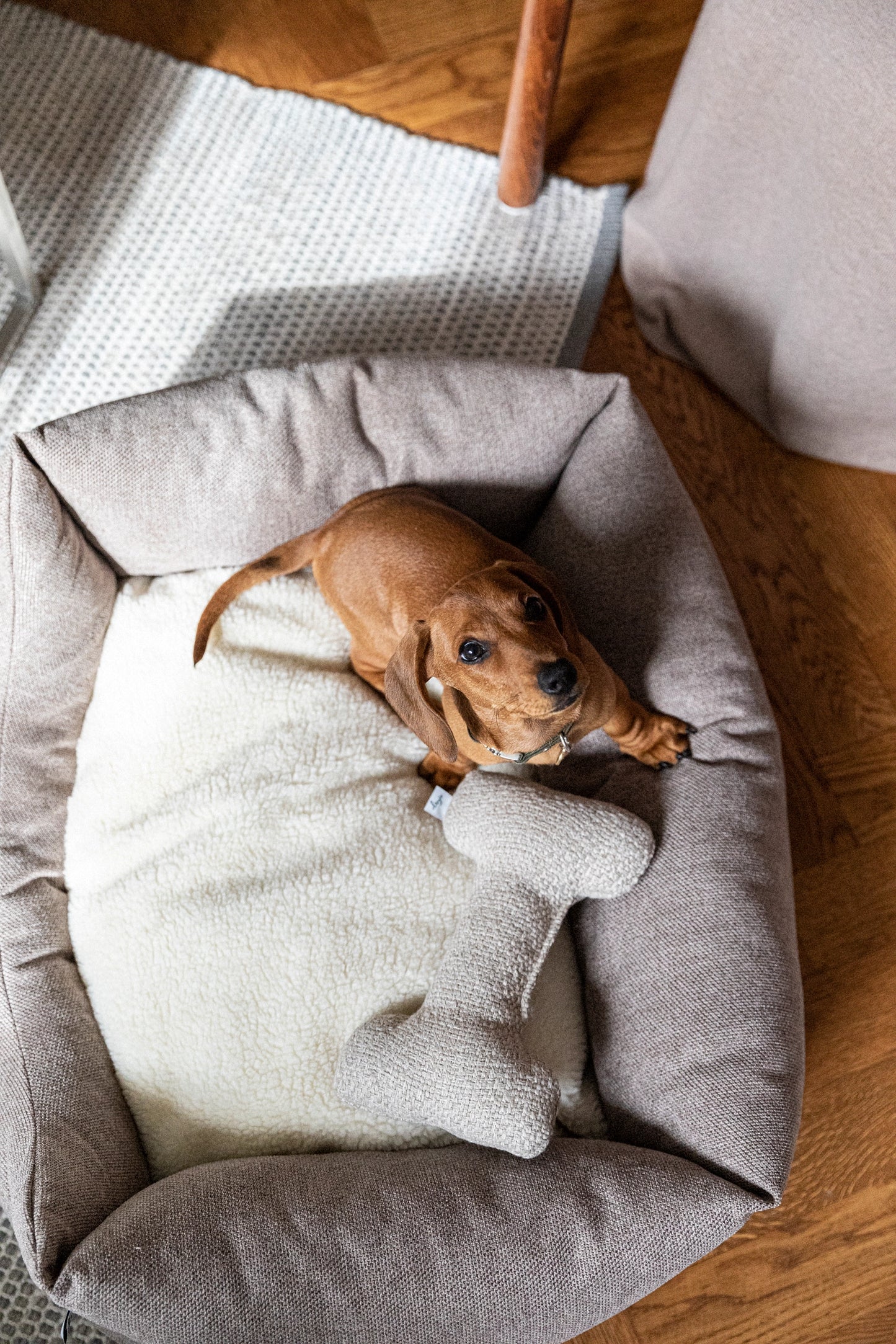 Teddy Lounge Dog Bed – True Taupe (Recycled, Washable & Supportive)