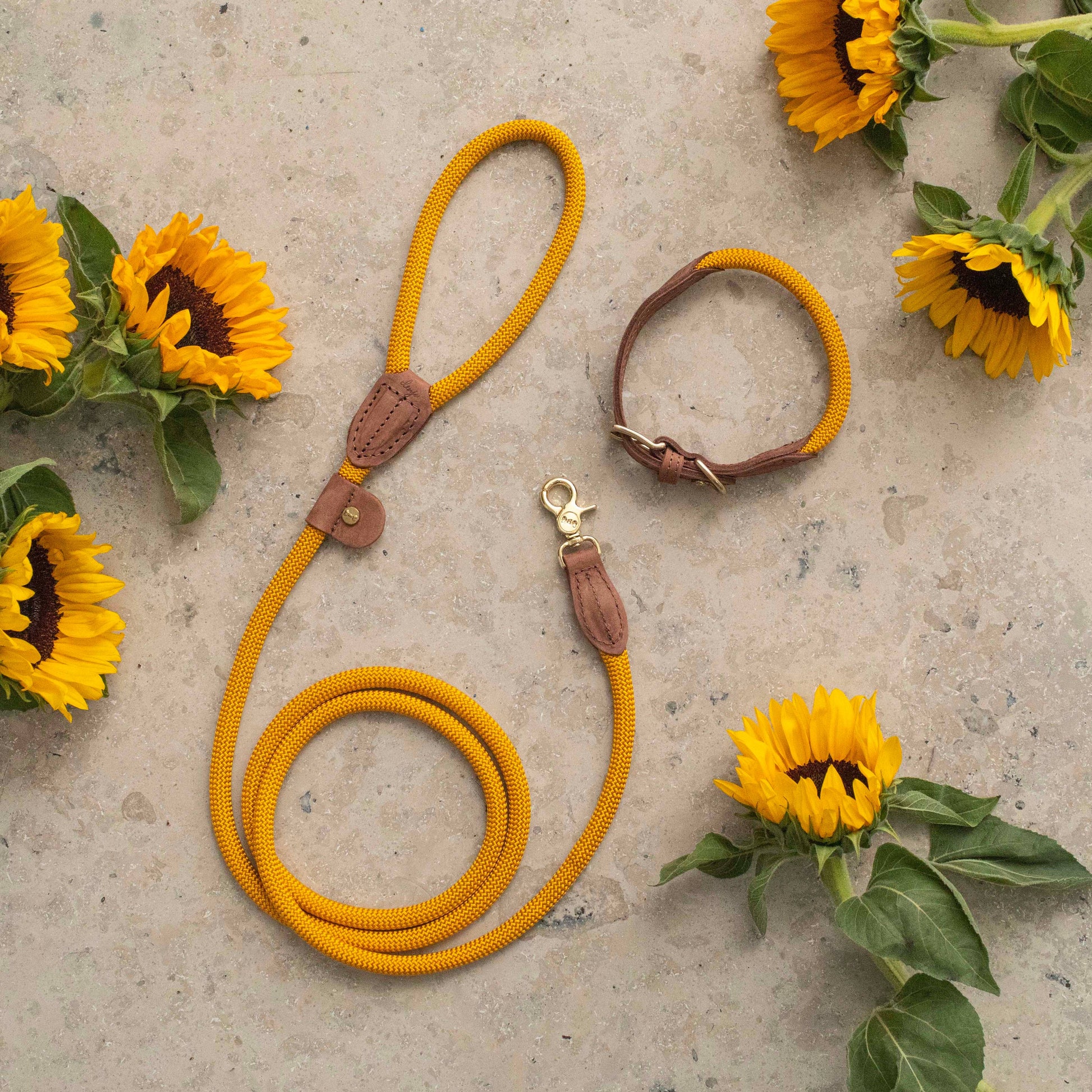 Yellow dog leash and collar with brown leather accents on a stone surface with sunflowers.