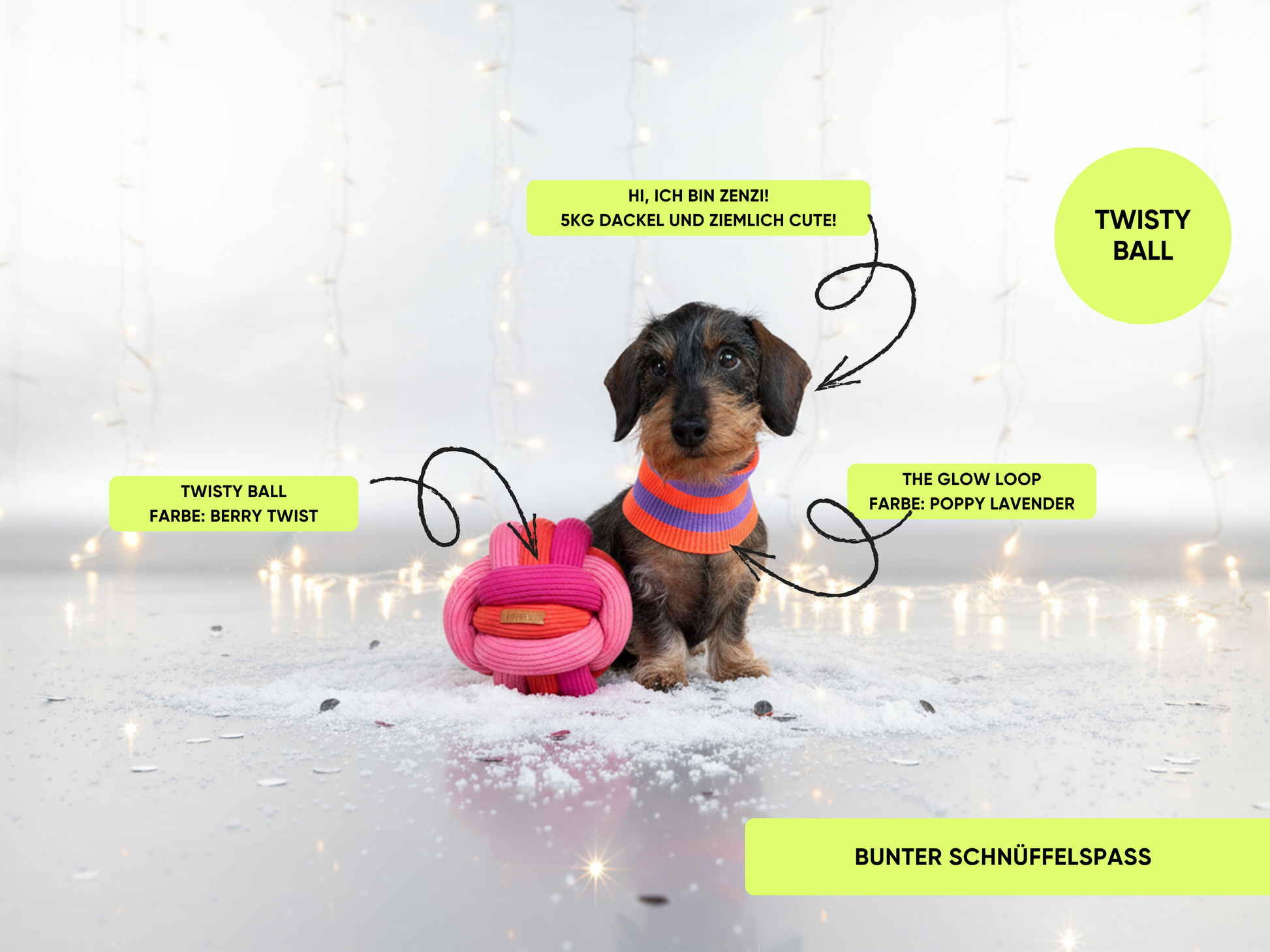 Small dog with a colorful toy in a snowy setting