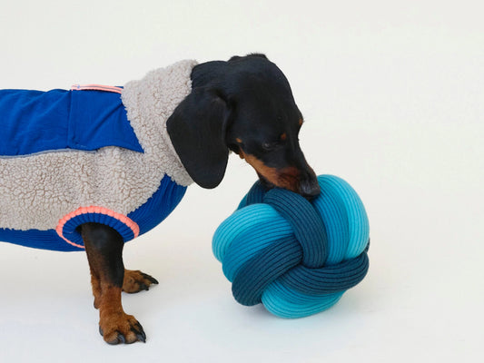 The Twisty Ball – Interactive Snuffle Ball for Dogs (Large, 15 cm)