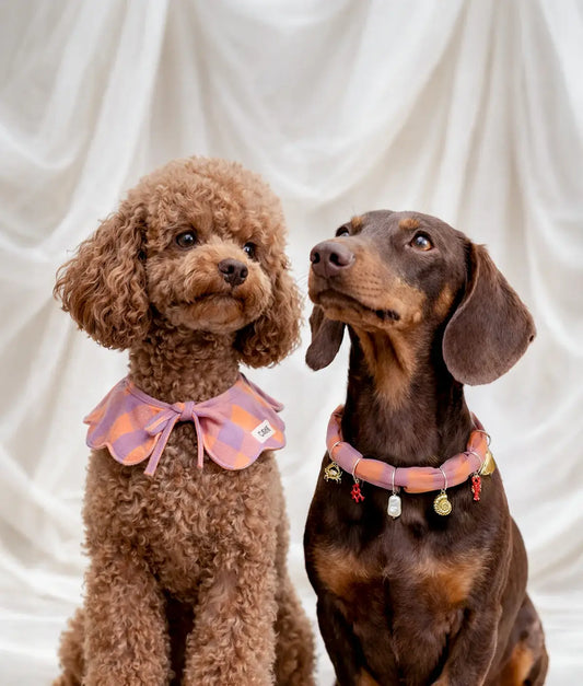 Violet Gingham Dog Bandana – Adjustable Cotton | Lola