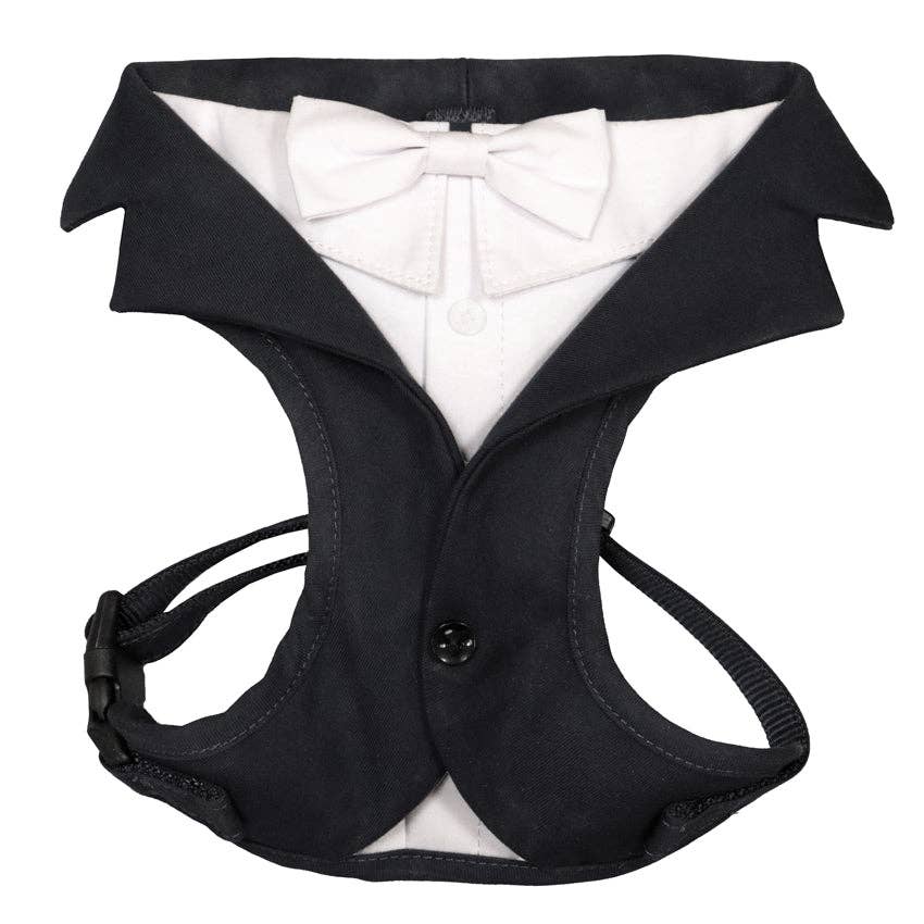 Black dog tuxedo with white bow tie on a white background