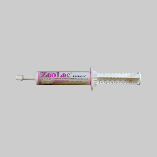 Zoolac dental paste tube on a white background
